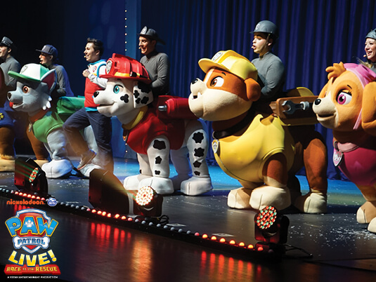 Paw Patrol Live